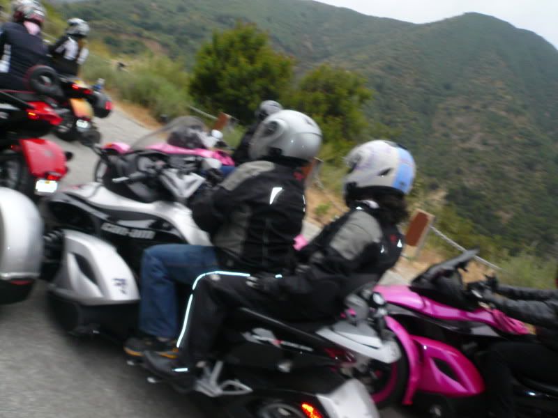 Spyder021.jpg